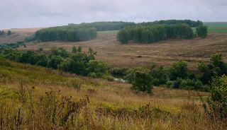 01 Для Заокской провинции Московской области  характерен так называемый долинно-балочный рельеф - чередование речных долин и плосковершинных балок