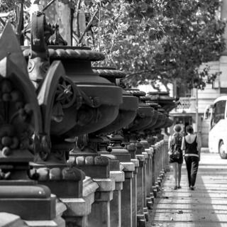 Перед университетом