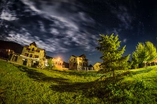 В горах родилась елочка, и там она росла