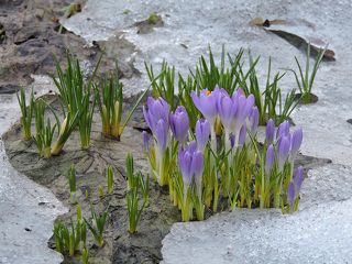 Жажда к жизни