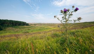 02 …с живописными просторными лугами,…