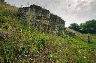 03 … и многочисленными выходами известняков на поверхность