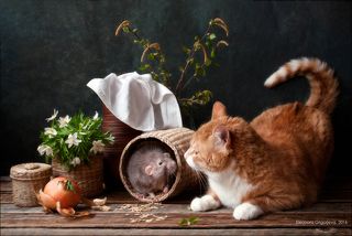 Никогда не знаешь, что тебя ждёт  в следующую минуту