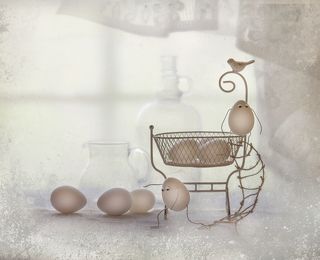 Побег...или ...ждать надоело...))