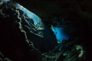 Дьявольские глазки.