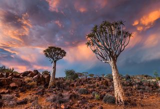 снято на Никон 810 D