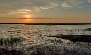 Зари вечерней нежный свет