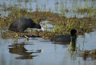 Ну, дай поцелую!!!