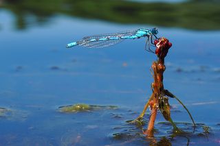 взлётная площадка