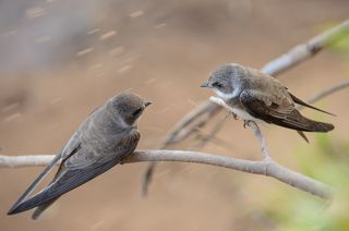 Опять с пятого этажа песок выгребают