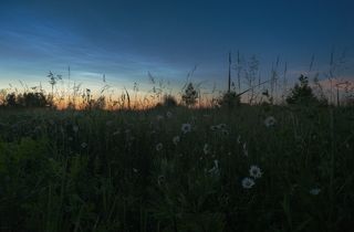 Палитра ночного художника