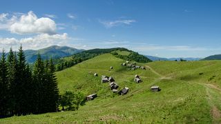 Полонына Менчул