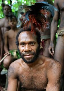 мужчина с острова Малекула, ВИА \