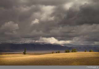 Курайская степь сентябрь