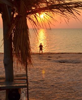 Солнцепоклонник