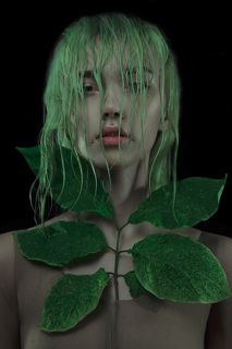 Коллажи сделаны вручную с использованием живых растений.