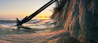 Двойная лиственница сорвалась с откоса во время шторма, и застыла, как будто бы принесённая сюда мощным потоком.