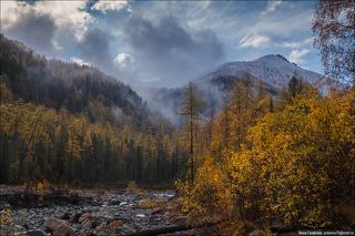 Тучное утро