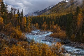 Вниз по реке