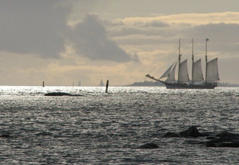 море, небо, корабли неалые парусаphoto preview