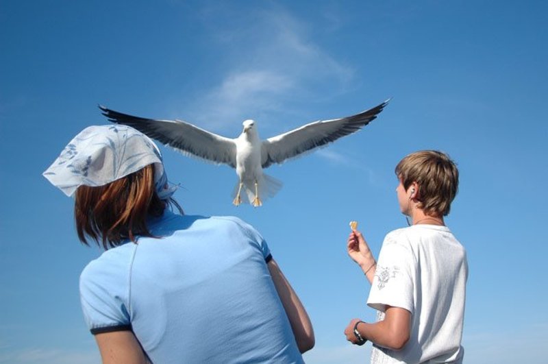 Остановить мгновениеphoto preview