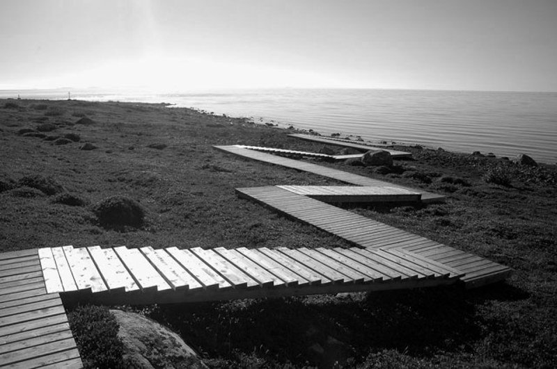 Большой заяцкий остров, соловки Дорога к морюphoto preview