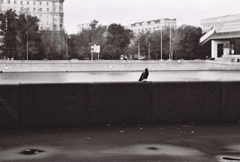 москва, ч/б, ilford Душаphoto preview