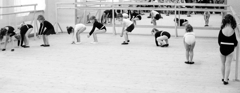 Evolutionphoto preview