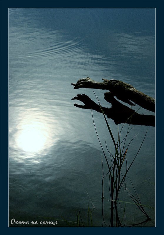 Охота на солнце фото превью