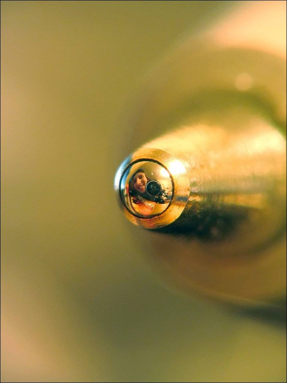 Автопортрет, шарик, стержень, авторучка, макро, macro, Alexis Assa