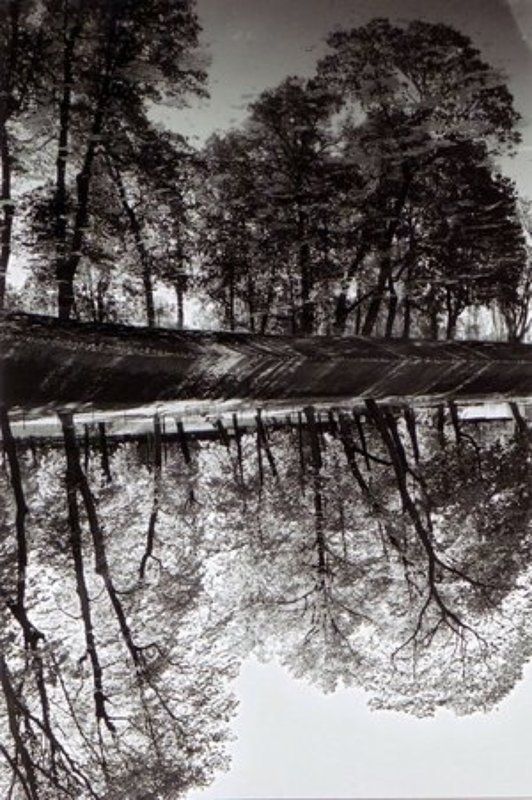 st. Peterburg st. Peterburgphoto preview