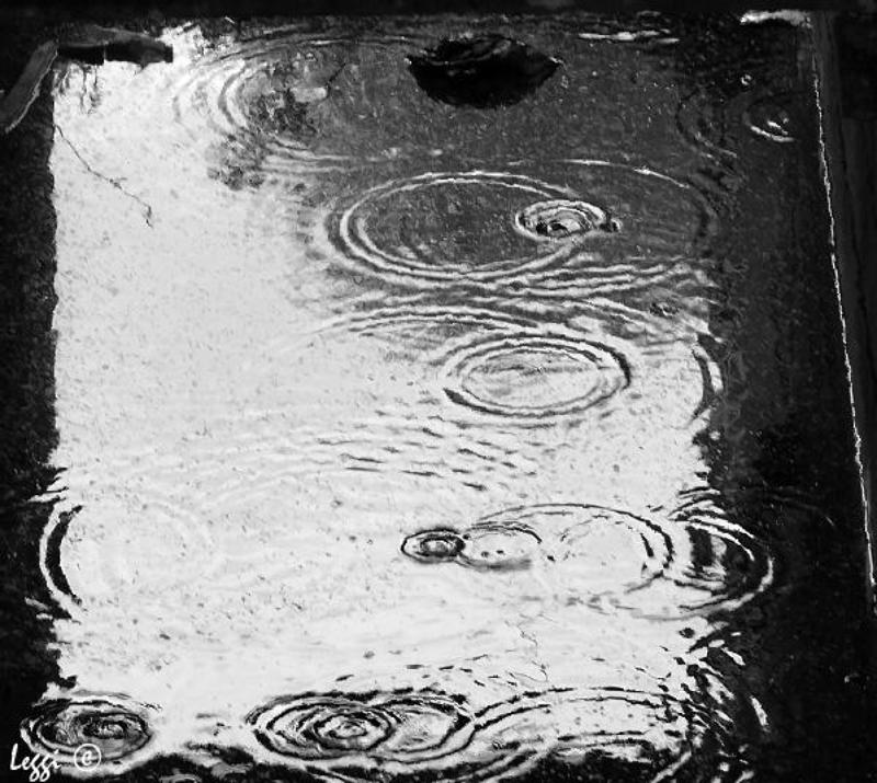 дождь, лужа, круги Дождьphoto preview