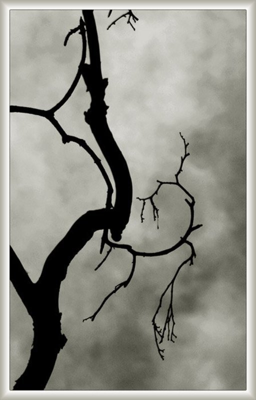 Грустные изгибы осениphoto preview