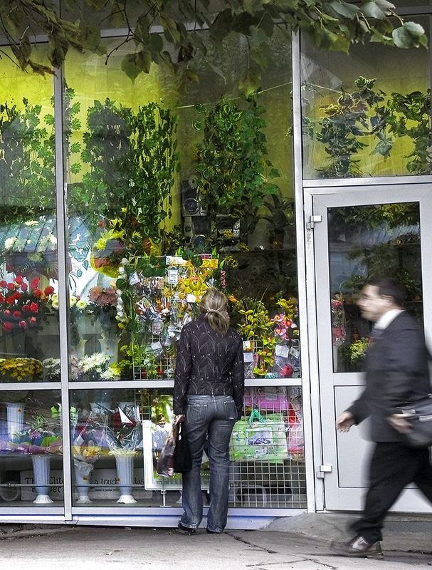 цветы Городские цветы.photo preview