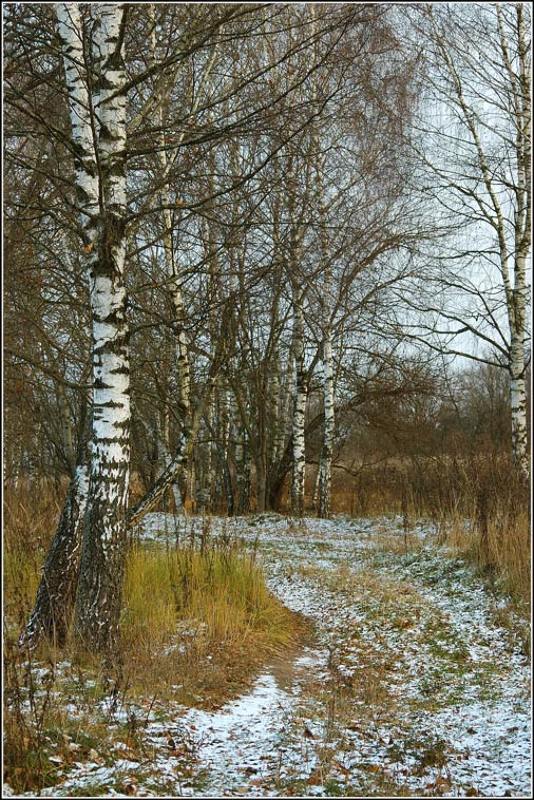 осень, хима, заморозки, очень, холодно Первые заморозки фото превью