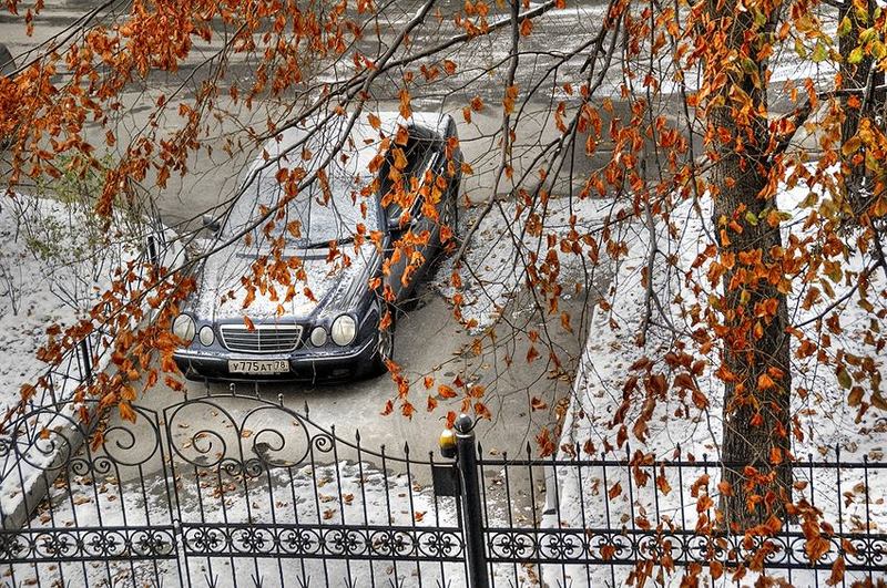 листва осень Карамель.photo preview