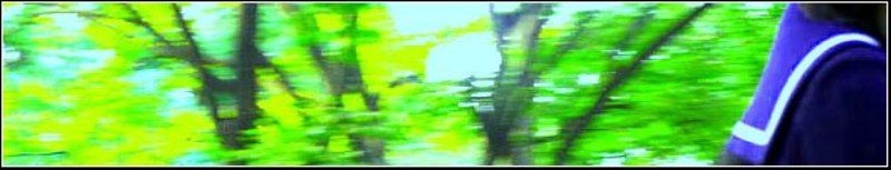 japan MORYACHOKphoto preview