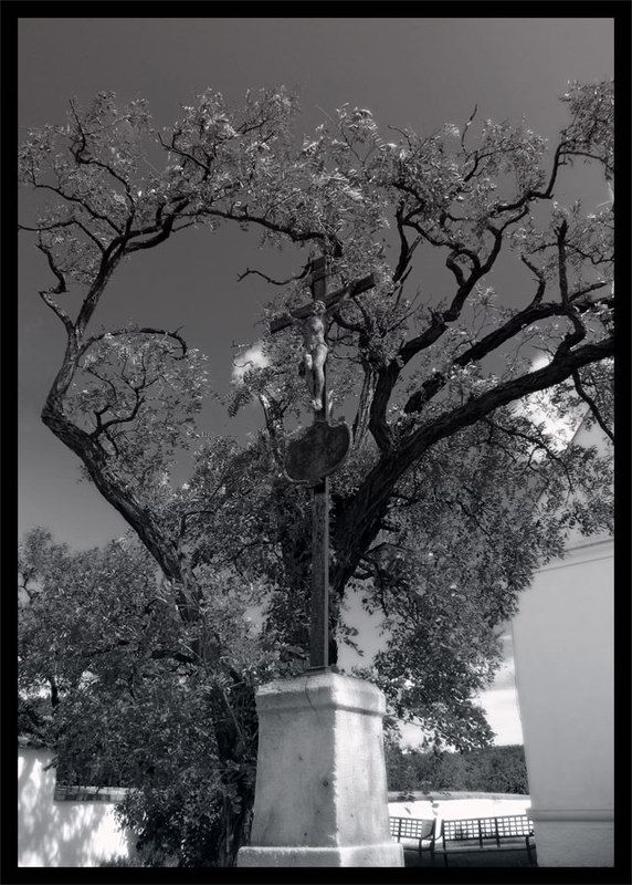 A Question of Faithphoto preview