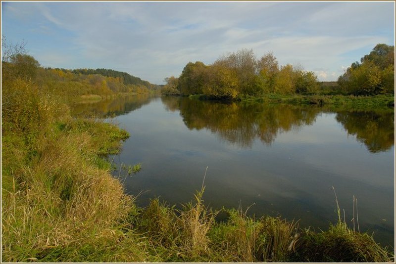 осень, сосны, лес, река Осень в подмосковье фото превью