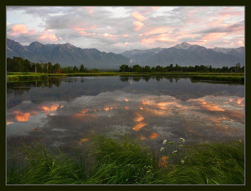 Баргузинская долина. Курумкан. Болотистый берег Баргузина. Старое цветущее озеро. Бурятия озёрнаяphoto preview