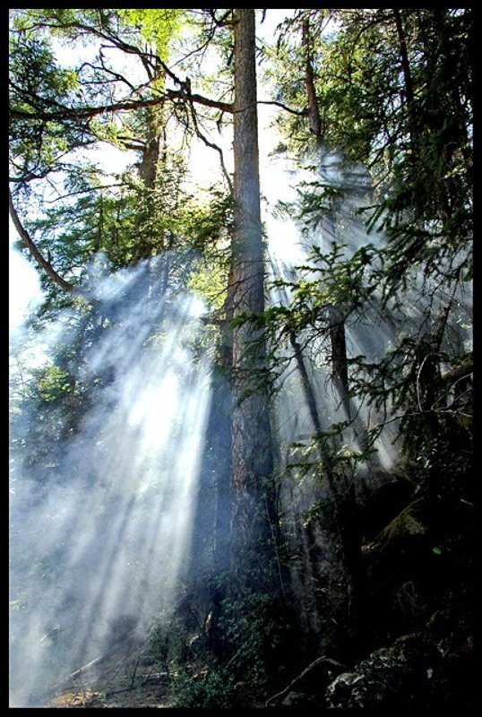 Якутия Дым от костра в лучах заходящего солнцаphoto preview