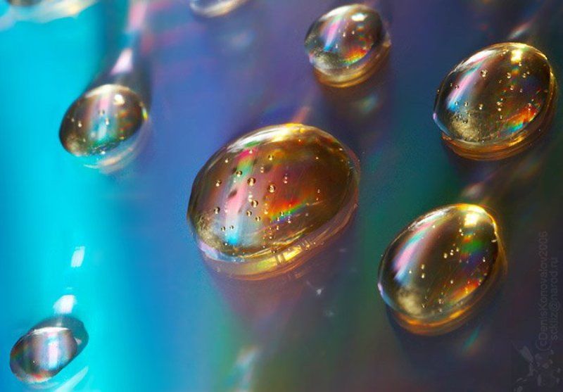 капли, дефракция, отражение Теория возникновения жизниphoto preview