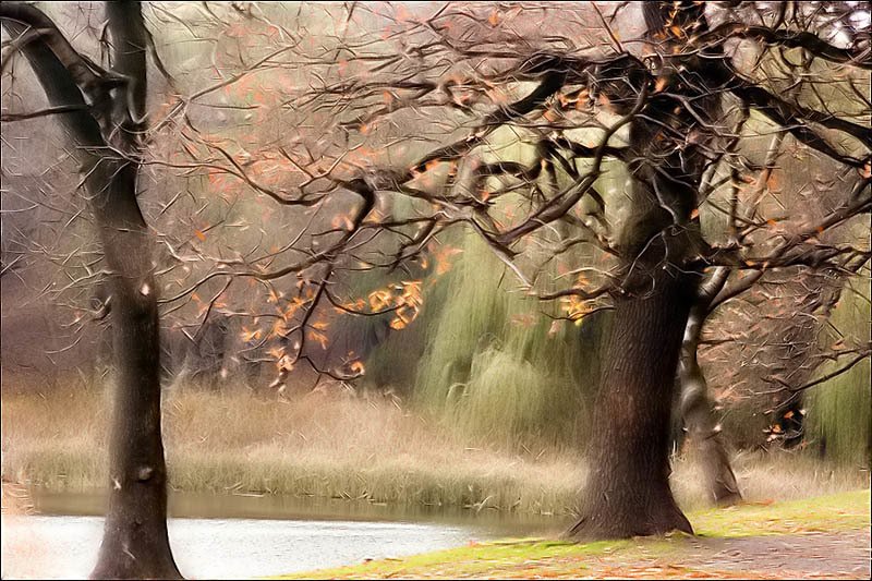 Скоро зимаphoto preview