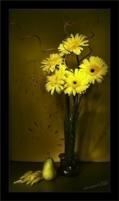 Букет, герберы, цветы, световая кисть, натюрморт Монотонный натюрморт с монобукетомphoto preview