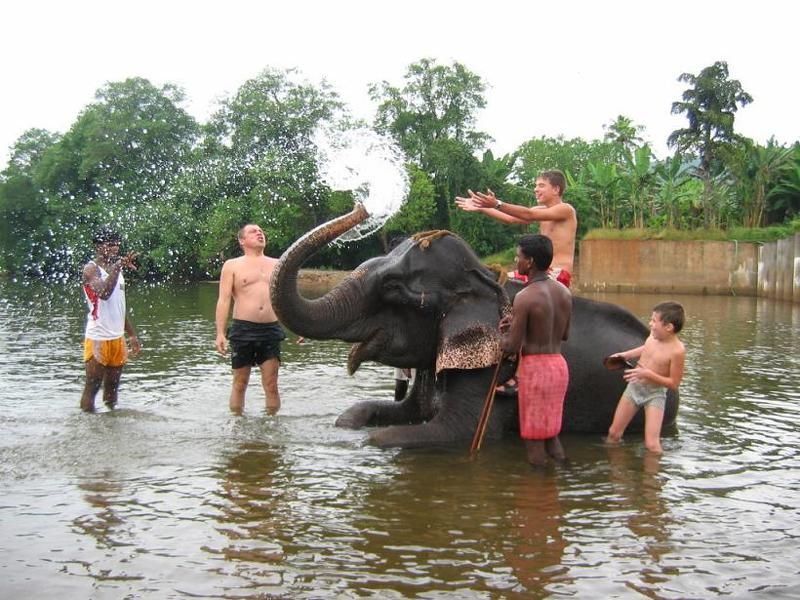 Гоа, Небо, Парень, Слон, Река На слонеphoto preview