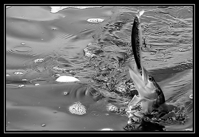 По щучьему велению...photo preview