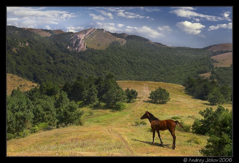 крым, лето, горы, небо, лошадка, photohunter Летняя фантазияphoto preview