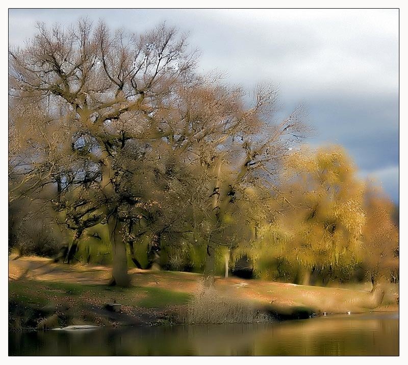 Поздняя осеньphoto preview