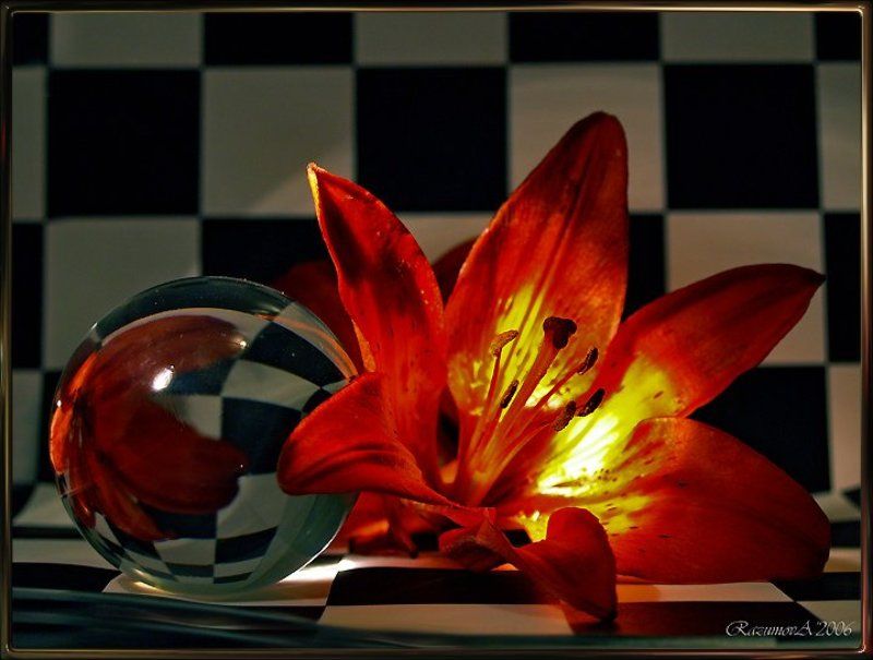 Лилия геометрия Геометрия линийphoto preview