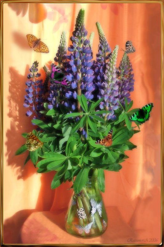 Люпины, бабочки, натюрморт, лето Люпины и бабочкиphoto preview